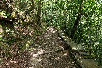 Só o 10% do monte galego ten plans de ordenación