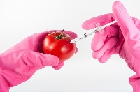Aumenta o retorno dos investimentos no sector biotecnolóxico